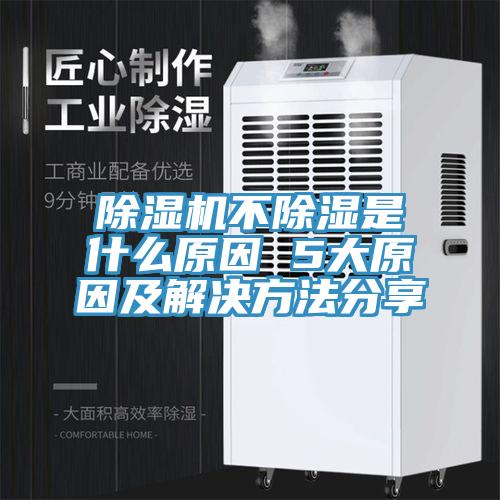 MR.好色破解版不除湿是什么原因 5大原因及解决方法分享