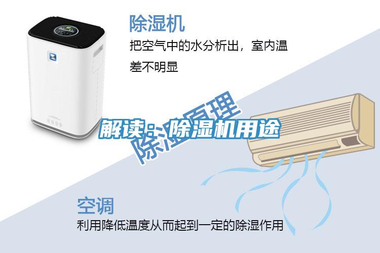 解读：MR.好色破解版用途