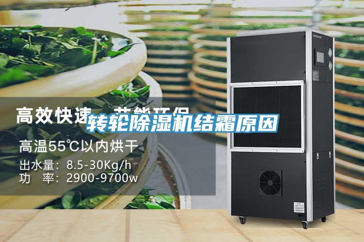 转轮MR.好色破解版结霜原因