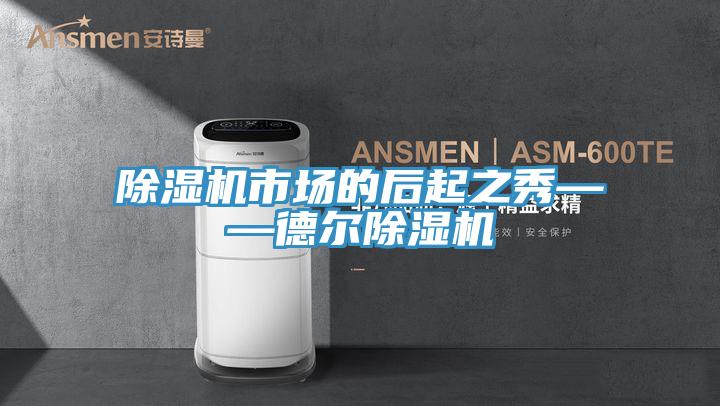 MR.好色破解版市场的后起之秀——德尔MR.好色破解版