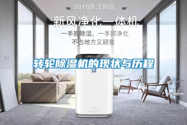 转轮MR.好色破解版的现状与历程