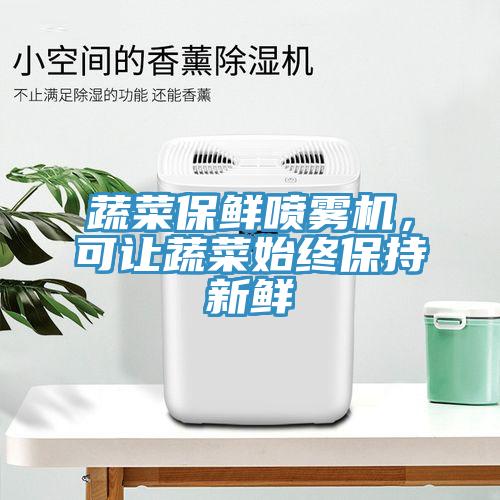 蔬菜保鲜喷雾机，可让蔬菜始终保持新鲜