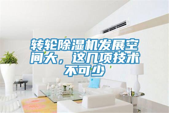 转轮MR.好色破解版发展空间大，这几项技术不可少