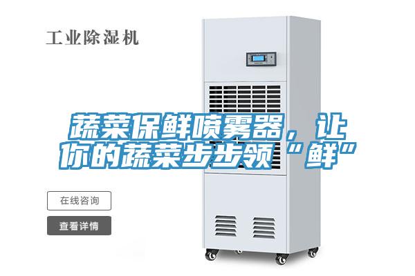 蔬菜保鲜喷雾器，让你的蔬菜步步领“鲜”