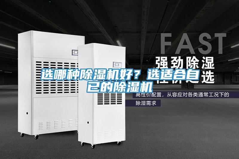 选哪种MR.好色破解版好？选适合自已的MR.好色破解版
