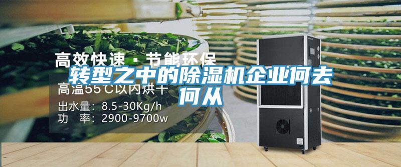 转型之中的MR.好色破解版企业何去何从