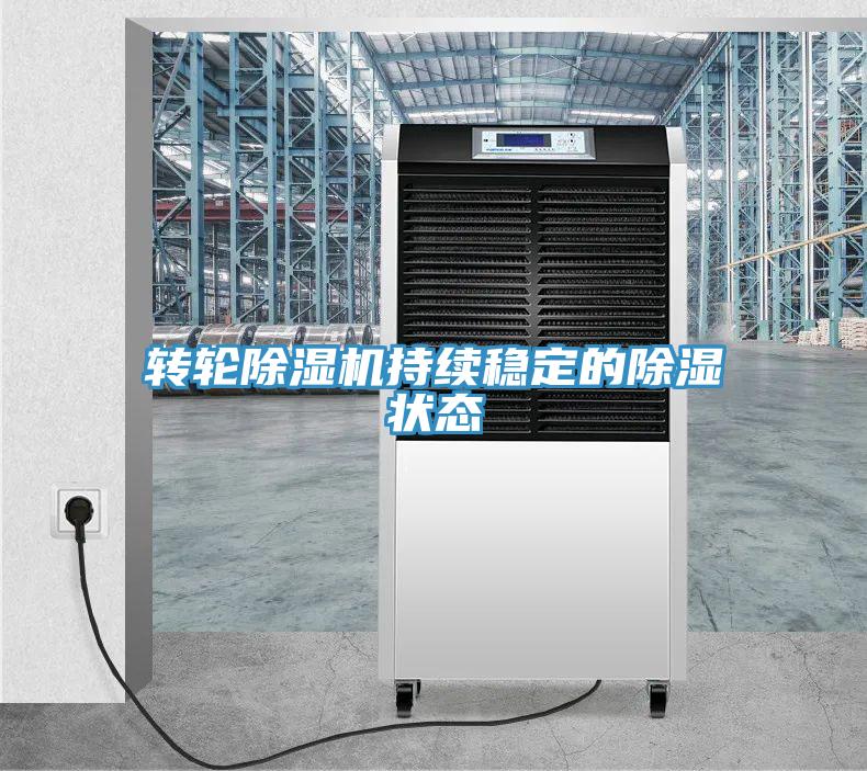 转轮MR.好色破解版持续稳定的除湿状态