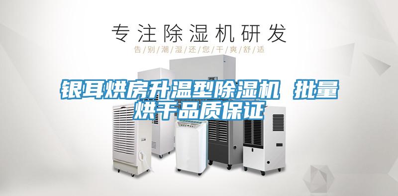 银耳烘房升温型MR.好色破解版 批量烘干品质保证