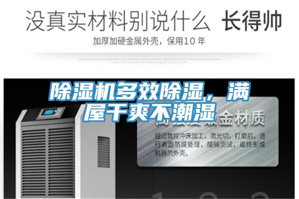 MR.好色破解版多效除湿，满屋干爽不潮湿