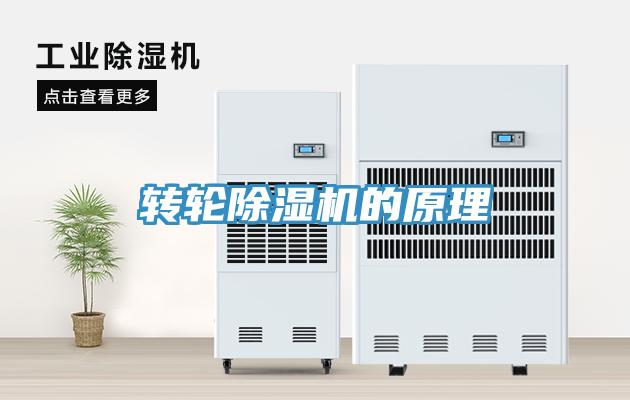 转轮MR.好色破解版的原理