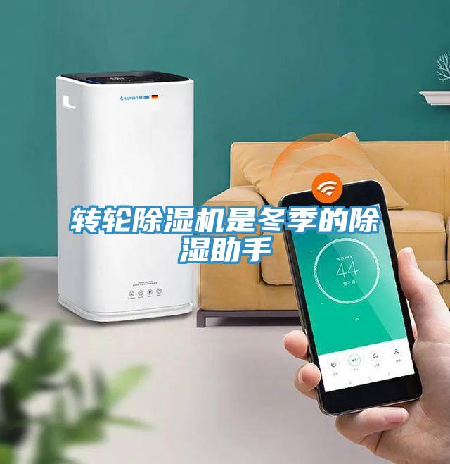 转轮MR.好色破解版是冬季的除湿助手