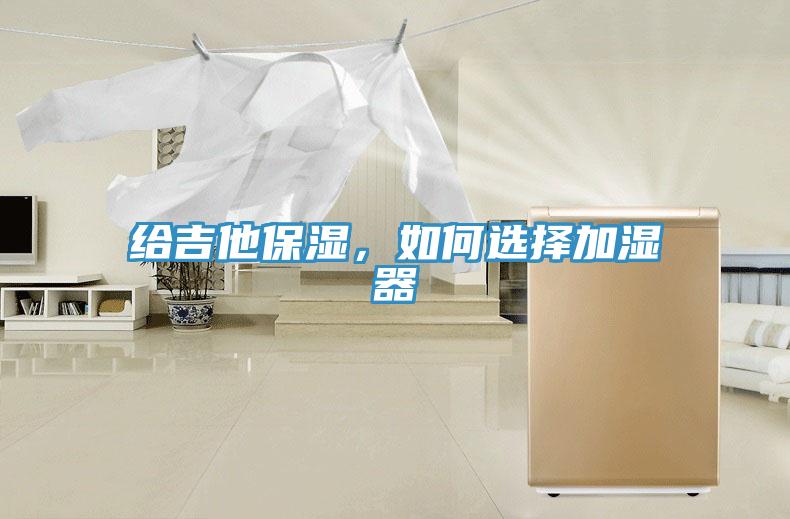 给吉他保湿，如何选择加湿器
