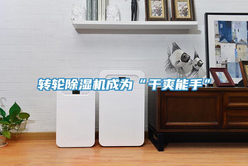 转轮MR.好色破解版成为“干爽能手”