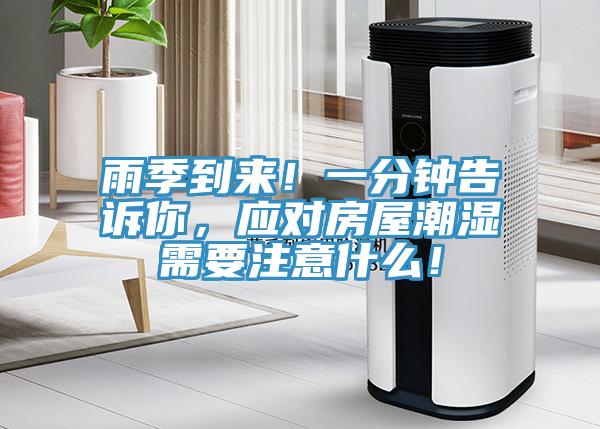 雨季到来！一分钟告诉你，应对房屋潮湿需要注意什么！