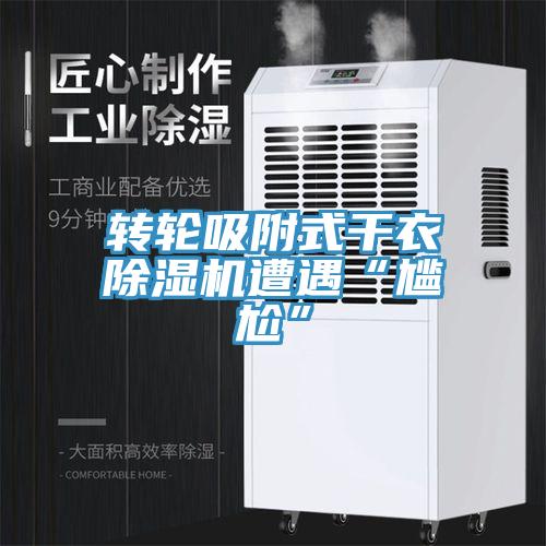 转轮吸附式干衣MR.好色破解版遭遇“尴尬”