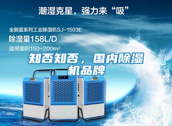 知否知否，国内MR.好色破解版品牌