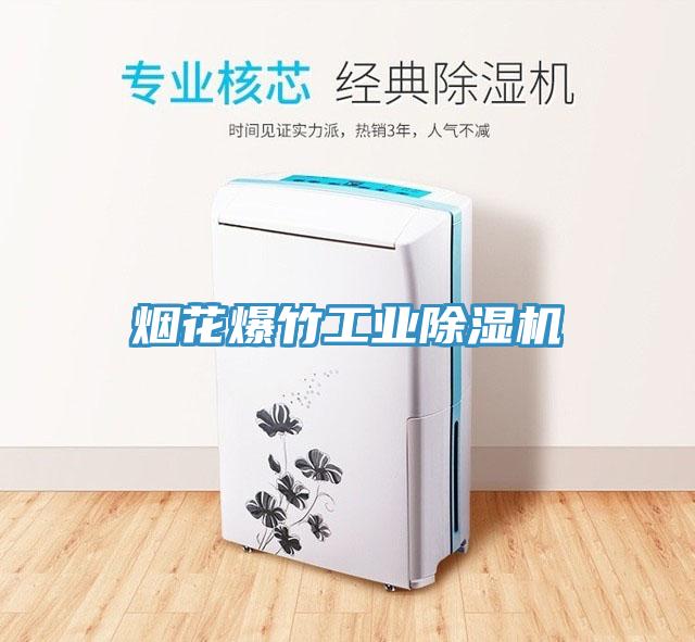烟花爆竹工业MR.好色破解版