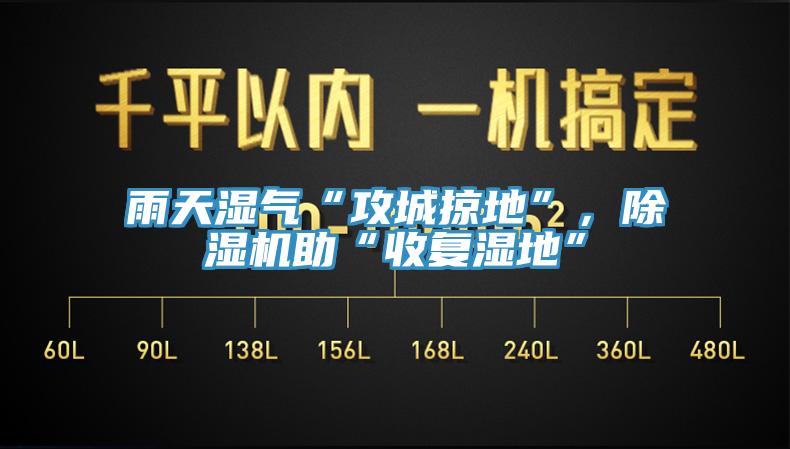 雨天湿气“攻城掠地”，MR.好色破解版助“收复湿地”