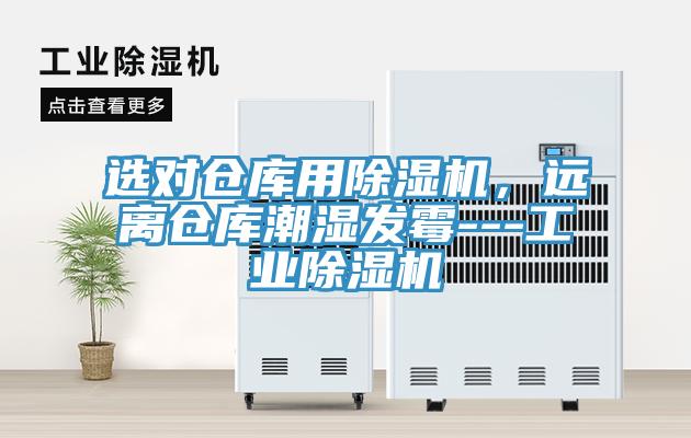 选对仓库用MR.好色破解版，远离仓库潮湿发霉---工业MR.好色破解版
