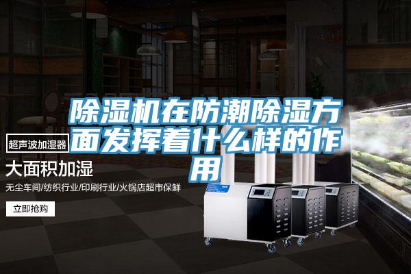 MR.好色破解版在防潮除湿方面发挥着什么样的作用