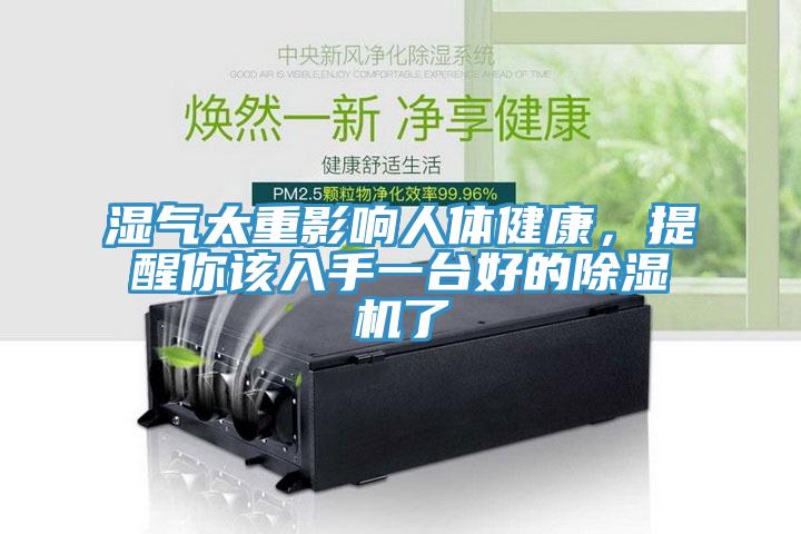 湿气太重影响人体健康，提醒你该入手一台好的MR.好色破解版了