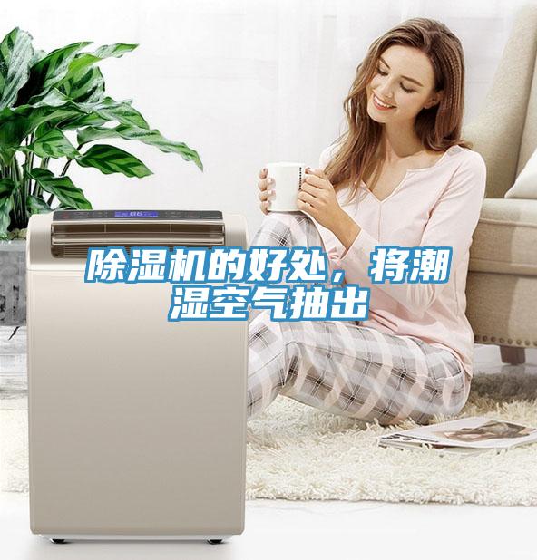 MR.好色破解版的好处，将潮湿空气抽出