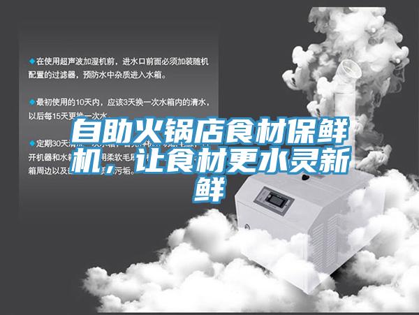自助火锅店食材保鲜机，让食材更水灵新鲜