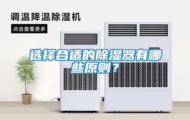 选择合适的除湿器有哪些原则？