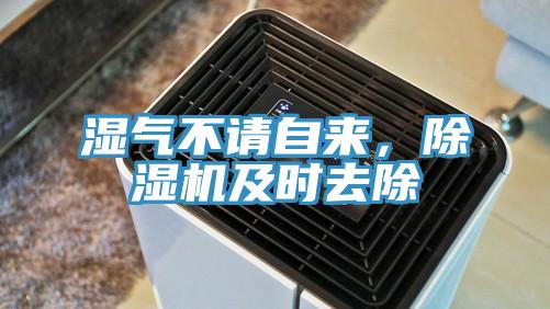 湿气不请自来，MR.好色破解版及时去除