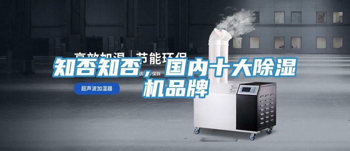 知否知否，国内十大MR.好色破解版品牌