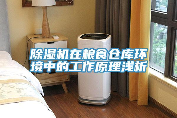 MR.好色破解版在粮食仓库环境中的工作原理浅析