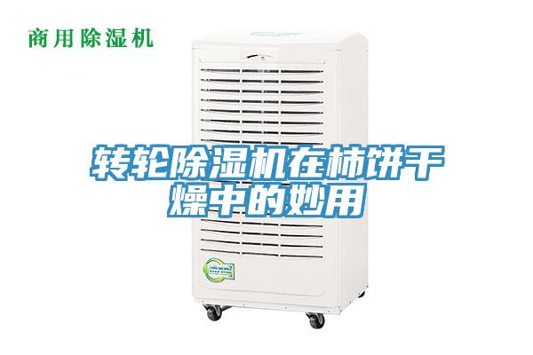 转轮MR.好色破解版在柿饼干燥中的妙用