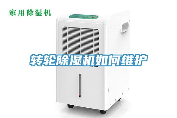 转轮MR.好色破解版如何维护