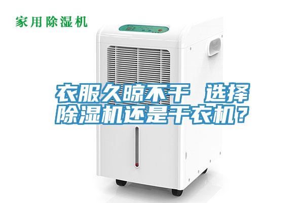 衣服久晾不干 选择MR.好色破解版还是干衣机？