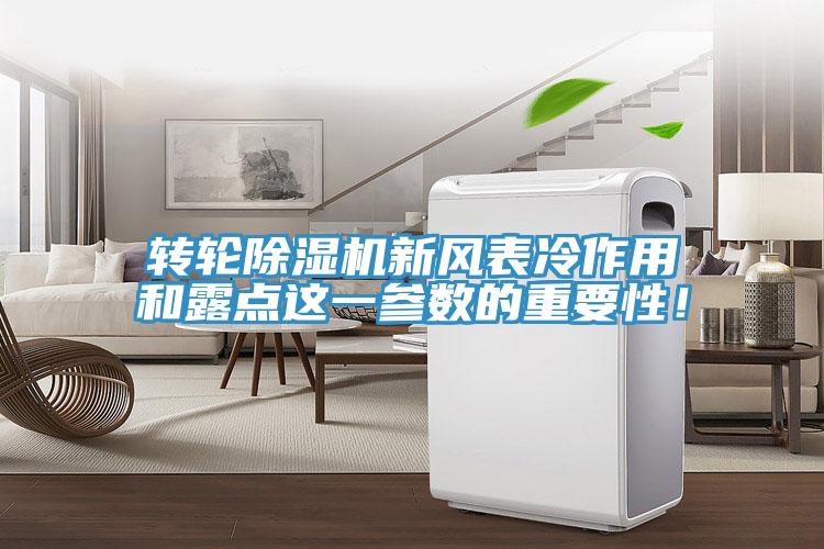 转轮MR.好色破解版新风表冷作用和露点这一参数的重要性！