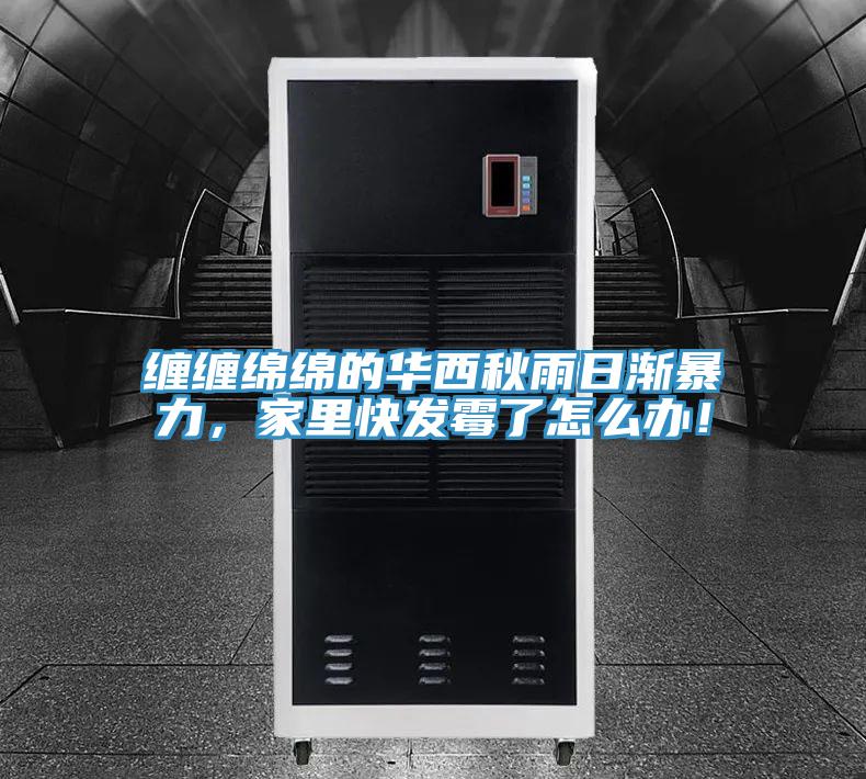 缠缠绵绵的华西秋雨日渐暴力，家里快发霉了怎么办！