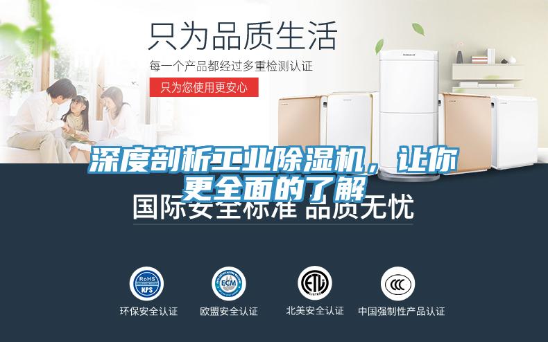 深度剖析工业MR.好色破解版，让你更全面的了解