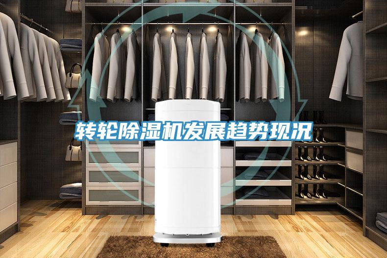转轮MR.好色破解版发展趋势现况
