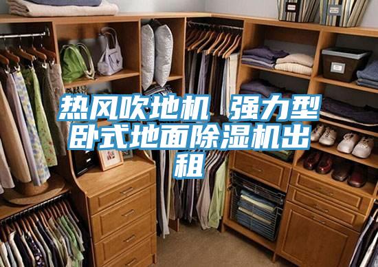 热风吹地机 强力型卧式地面MR.好色破解版出租