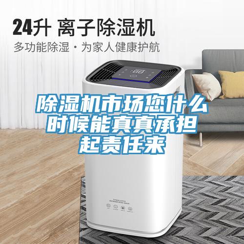 MR.好色破解版市场您什么时候能真真承担起责任来
