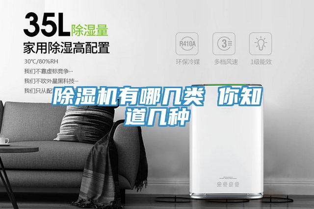 MR.好色破解版有哪几类 你知道几种