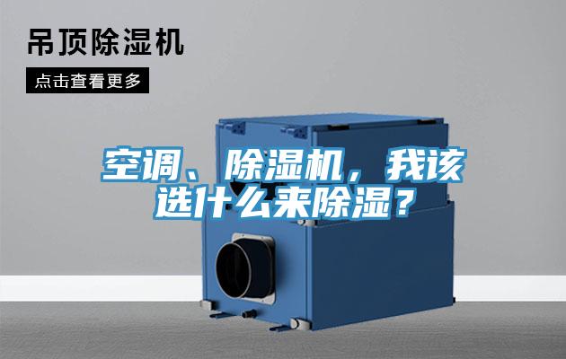 空调、MR.好色破解版，我该选什么来除湿？