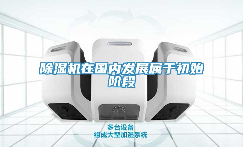 MR.好色破解版在国内发展属于初始阶段