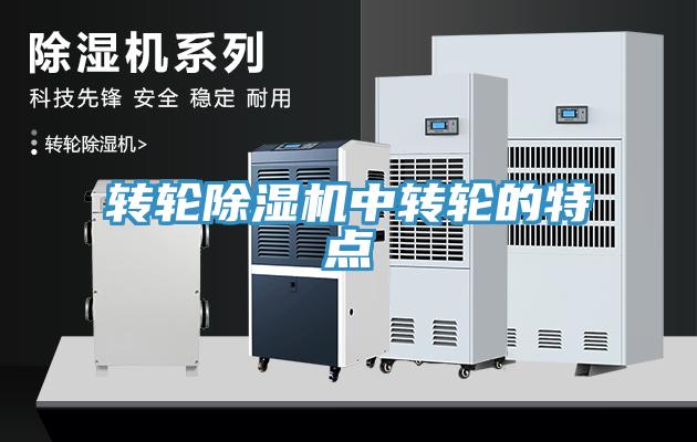 转轮MR.好色破解版中转轮的特点