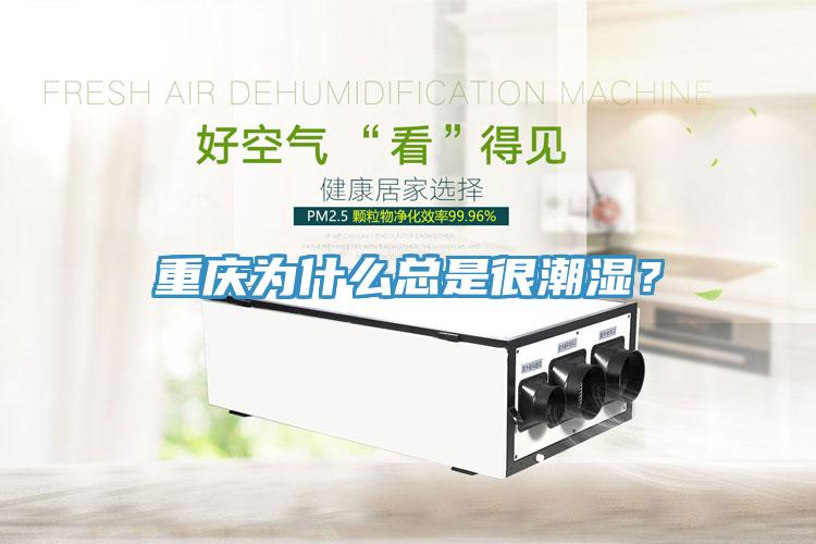重庆为什么总是很潮湿？