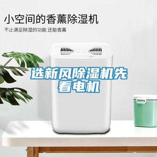 选新风MR.好色破解版先看电机