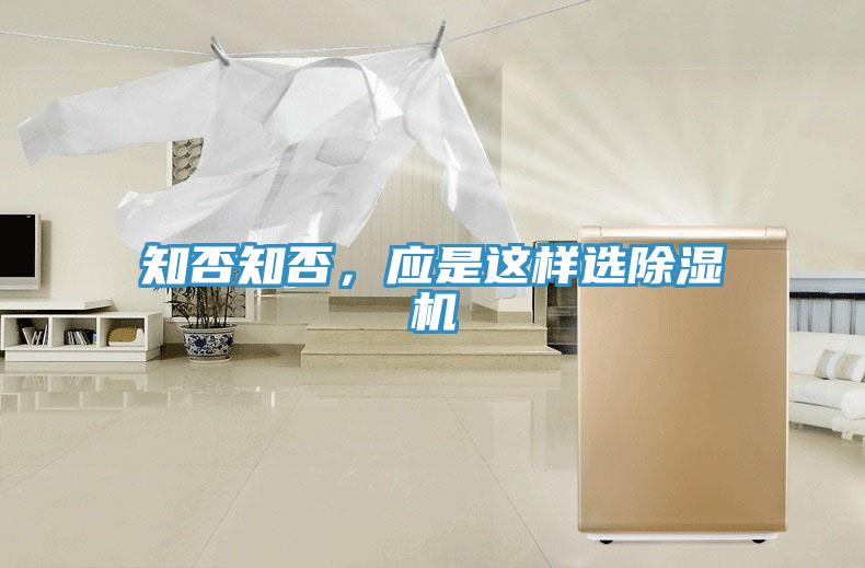 知否知否，应是这样选MR.好色破解版