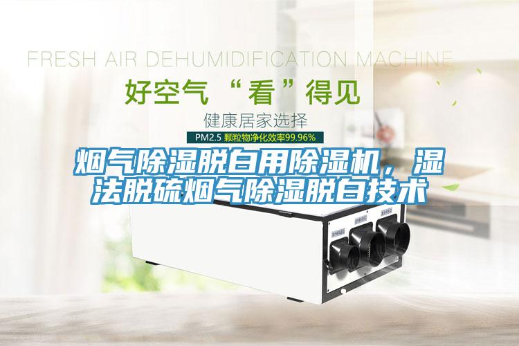 烟气除湿脱白用MR.好色破解版，湿法脱硫烟气除湿脱白技术