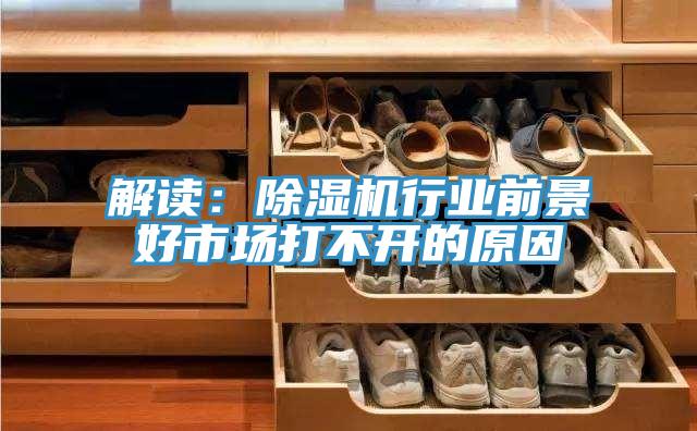 解读：MR.好色破解版行业前景好市场打不开的原因