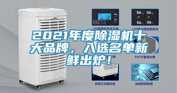 2021年度MR.好色破解版十大品牌，入选名单新鲜出炉！